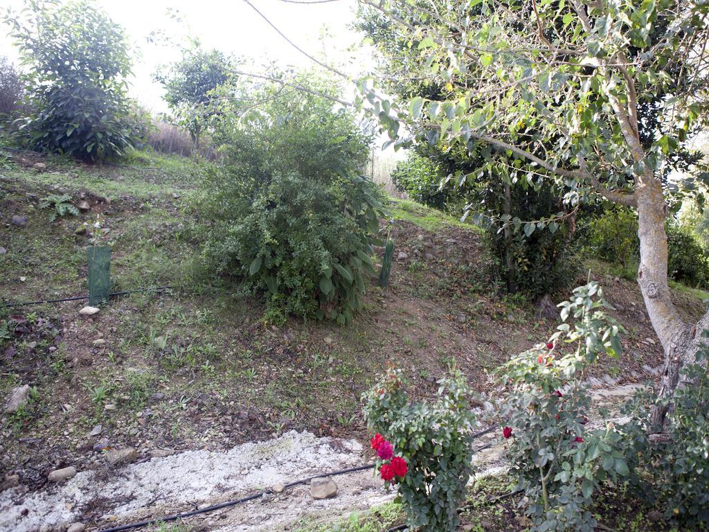 Casa Rural Vega El Dorado San Pablo Kültér fotó